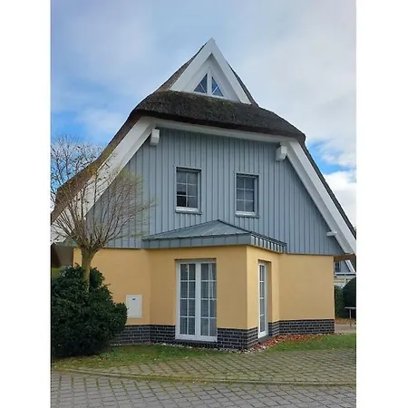 Crab * Zingst