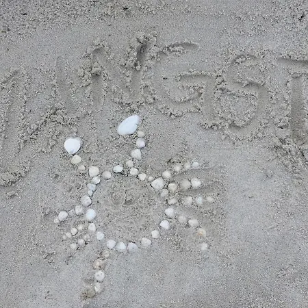 Crab * Zingst